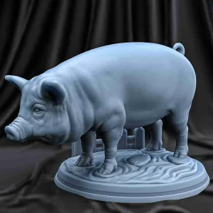 PIG