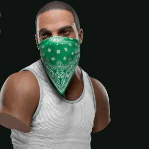 Bust_CJ_GTA_Zenith_Studios