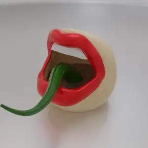 Mouth Flower Pot