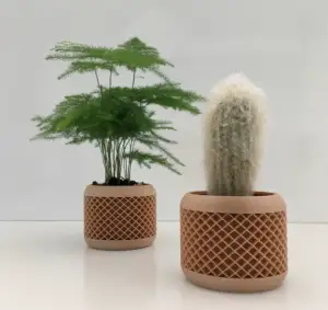 plante en pot Aztec 2