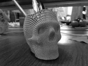 Skull