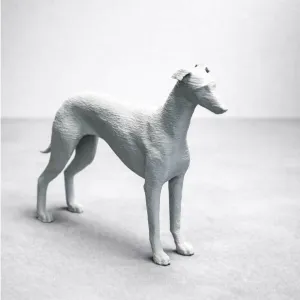 Greyhound