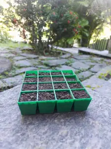 Seed Planter - Sementeira