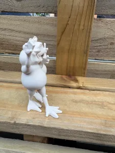 Selfie Frogs