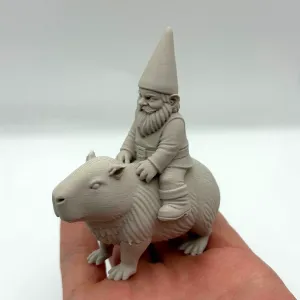 Gnome Riding Capybara