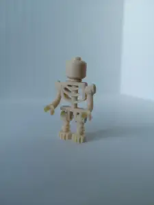 LEGO - Skeleton