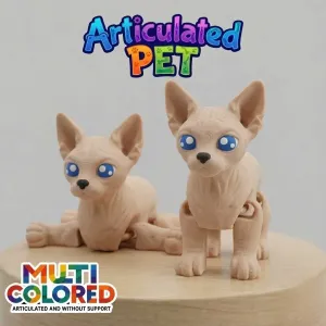 Sphynx Cat - Articulated Multicolor