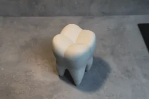 The Tooth