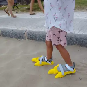 Dinoshoes