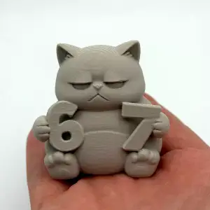 Grumpy 6-7 Kitten