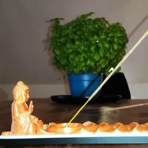 Buda porta incienso / Meditación