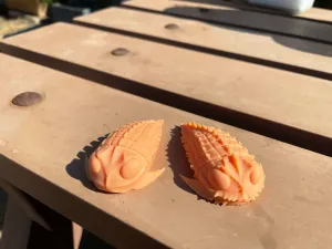 Articulated trilobites x 2