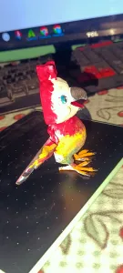 Lorita de Colores