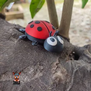 Ladybug
