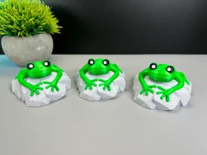 Frog on a stone