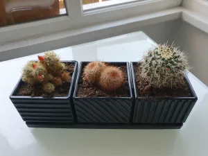 Cube planter set