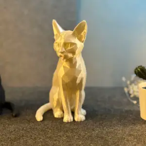 Cute DevonRex