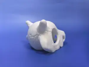 Caracara Skull Dodge House卡拉卡拉头骨躲避屋