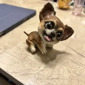 Cute flexi dog