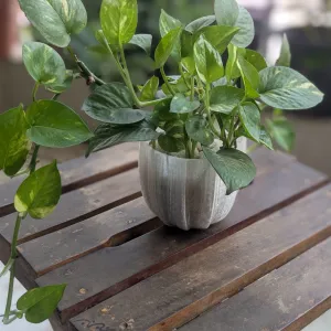 Wavey Planter – 3D Printed Modern Plant Pot