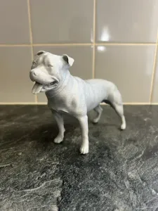 Beautiful Staffordshire Bull Terrier