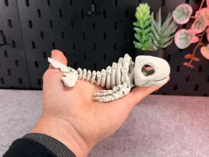 Articulated Skeleton Whale