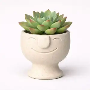 Face Pot Planter - Succulent - Cactus - Potus