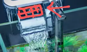 filtre pour évacuation du filtre cascade d'aquarium