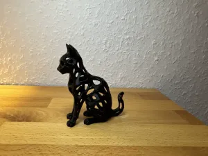 Katze