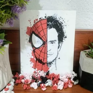 Recuadro de Spiderman de Andrew