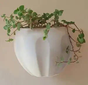 Wall Mount Planters