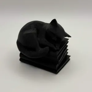 Cat Sleeping on Books