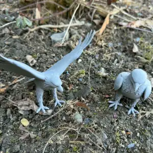 Eagles, sitting, with wings spread