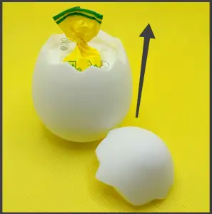 Flying Eggshell - Hatched from the Egg