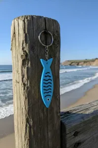 Sardine