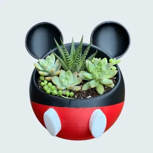 Vaso Disney "Mickey Mouse" para Suculentas e Cactos