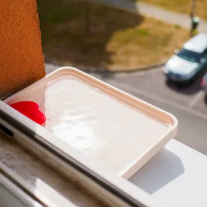 Window Sill Bird & Bug Waterer with Bath Option