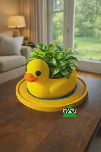 Rubber Ducky Planter with Drip Tray Pond option