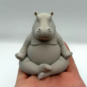 Meditating Hippo