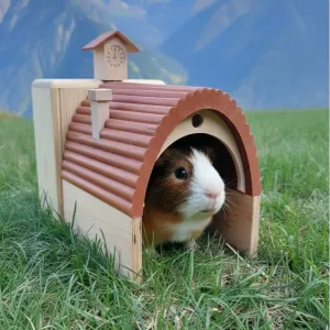 Pet House