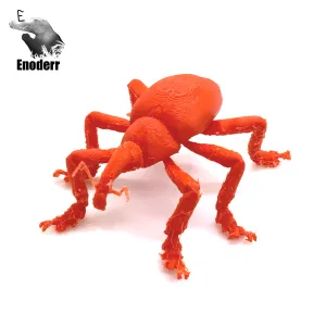 Articulated Weevil beetle