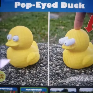 Pop-eye duck