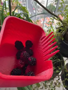 Berry Hunter