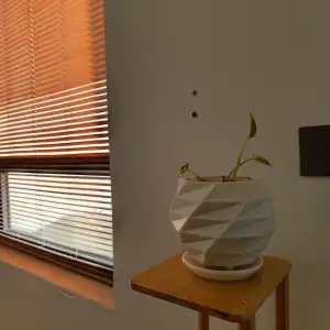 plant drain