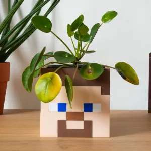 Minecraft Steve – Flower Pot / Vase