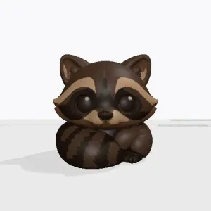 Racoon