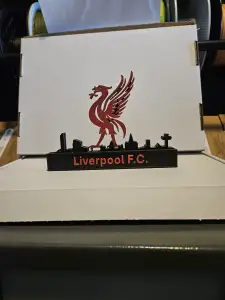 Liverpool FC skyline Bird logocc