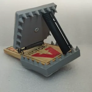 Spikes for mousetrap