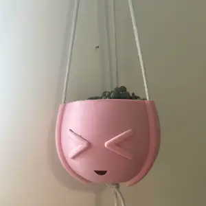 Hanging Pot with Drainage 3.1