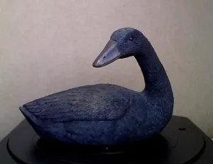 Nesting goose